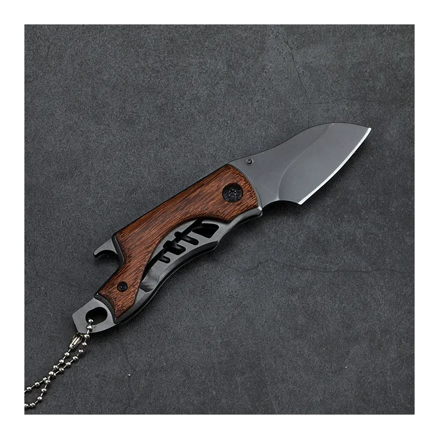 Folding Knife Portable Mini Knife