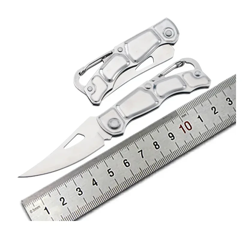 Stainless Steel Fruit Knife