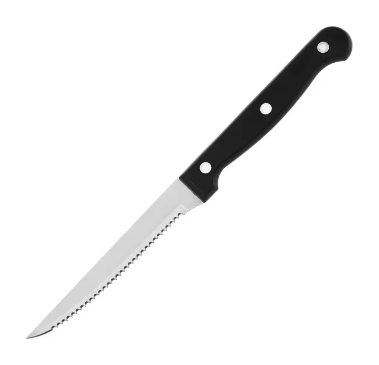 Stainless Steel Serrated Knife With Plastic Handle