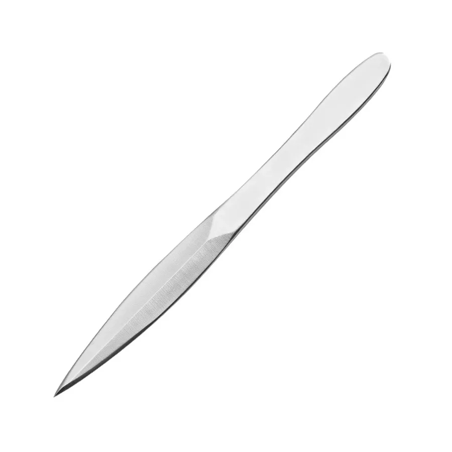 Meteorite Thickened Dart Knife Stainless Steel Thrown Knife